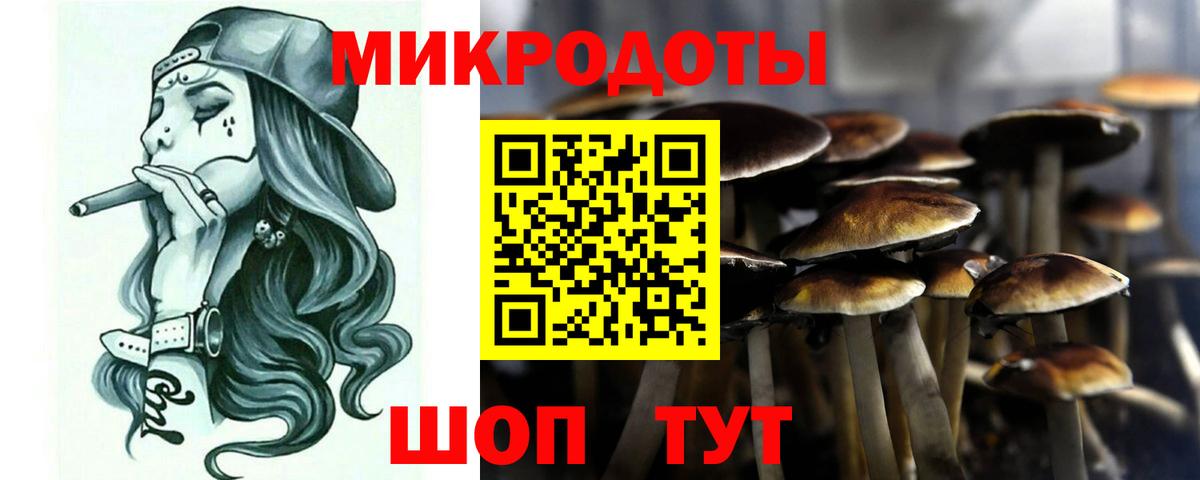 Галлюциногенные грибы Cubensis Улан-Удэ